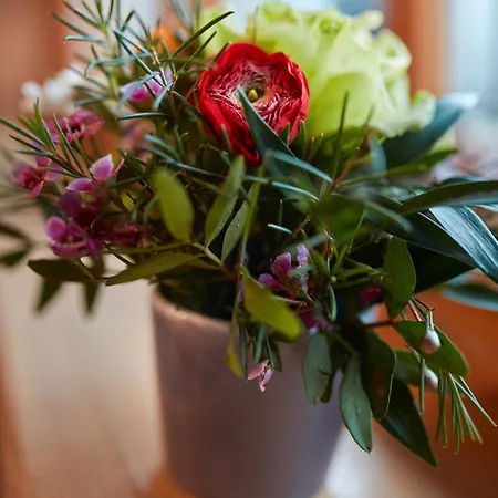 Fausts Blockhaus Apartman